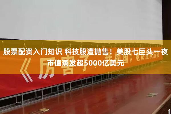 股票配资入门知识 科技股遭抛售！美股七巨头一夜市值蒸发超5000亿美元