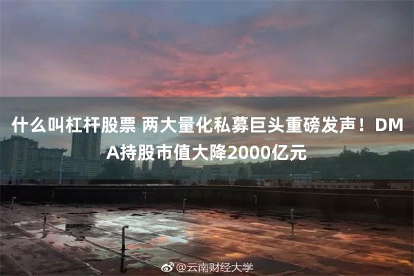 什么叫杠杆股票 两大量化私募巨头重磅发声！DMA持股市值大降2000亿元