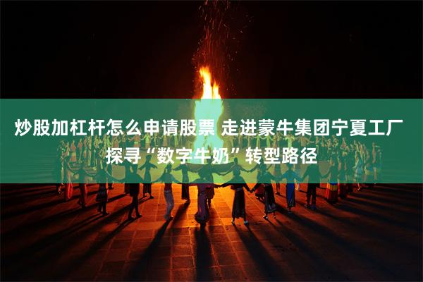 炒股加杠杆怎么申请股票 走进蒙牛集团宁夏工厂 探寻“数字牛奶”转型路径