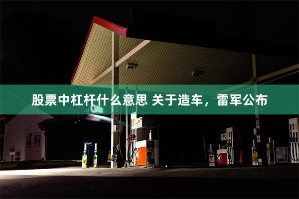 股票中杠杆什么意思 关于造车，雷军公布