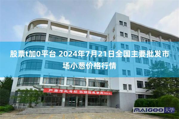 股票t加0平台 2024年7月21日全国主要批发市场小葱价格行情