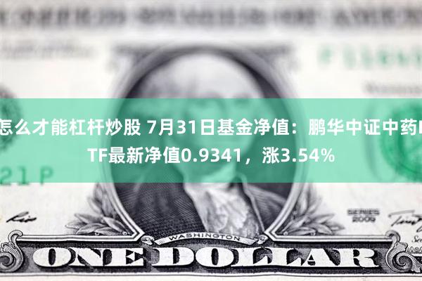 怎么才能杠杆炒股 7月31日基金净值：鹏华中证中药ETF最新净值0.9341，涨3.54%