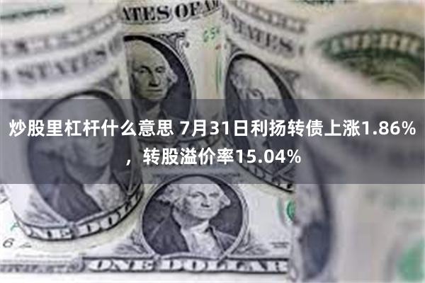 炒股里杠杆什么意思 7月31日利扬转债上涨1.86%，转股溢价率15.04%