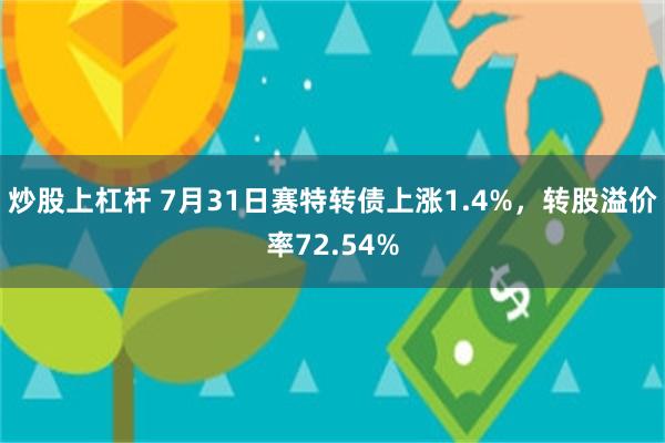 炒股上杠杆 7月31日赛特转债上涨1.4%，转股溢价率72.54%