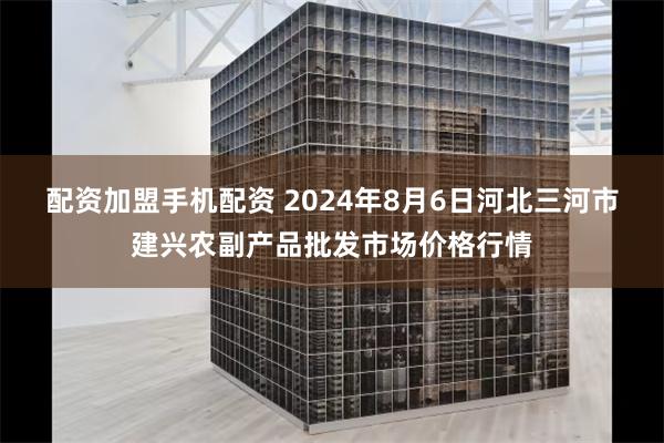 配资加盟手机配资 2024年8月6日河北三河市建兴农副产品批发市场价格行情