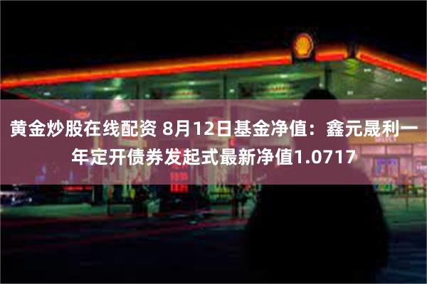 黄金炒股在线配资 8月12日基金净值：鑫元晟利一年定开债券发起式最新净值1.0717