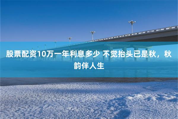 股票配资10万一年利息多少 不觉抬头已是秋，秋韵伴人生