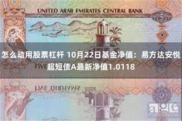 怎么动用股票杠杆 10月22日基金净值：易方达安悦超短债A最新净值1.0118