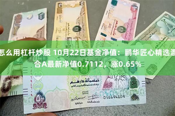 怎么用杠杆炒股 10月22日基金净值：鹏华匠心精选混合A最新净值0.7112，涨0.65%