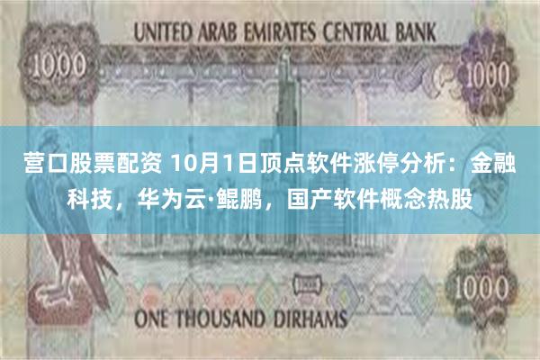 营口股票配资 10月1日顶点软件涨停分析：金融科技，华为云·鲲鹏，国产软件概念热股