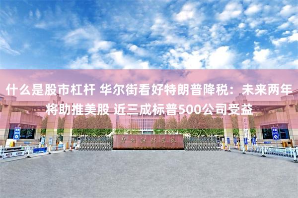 什么是股市杠杆 华尔街看好特朗普降税：未来两年将助推美股 近三成标普500公司受益