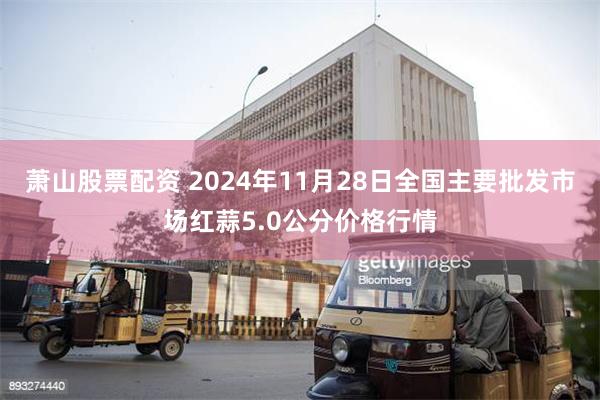 萧山股票配资 2024年11月28日全国主要批发市场红蒜5.0公分价格行情