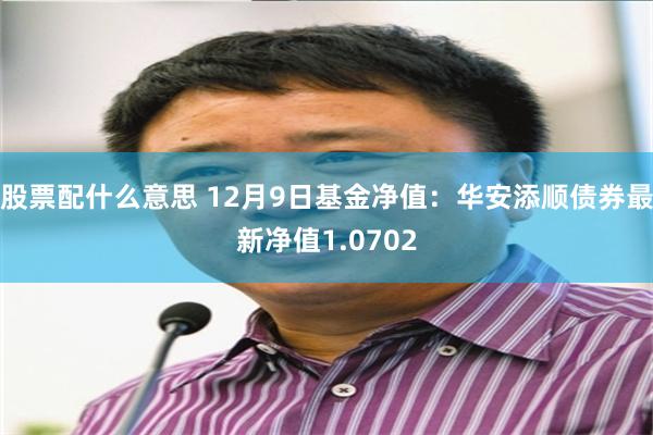 股票配什么意思 12月9日基金净值：华安添顺债券最新净值1.0702