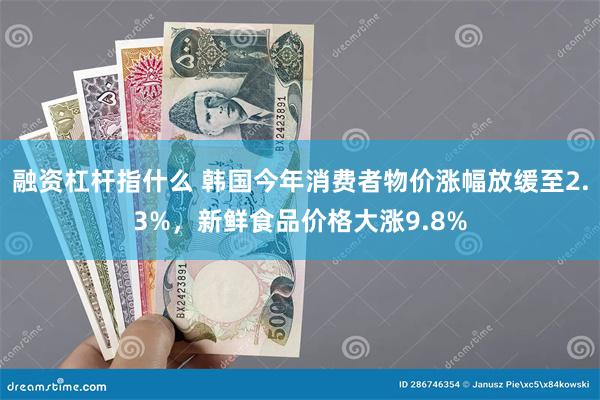 融资杠杆指什么 韩国今年消费者物价涨幅放缓至2.3%，新鲜食品价格大涨9.8%