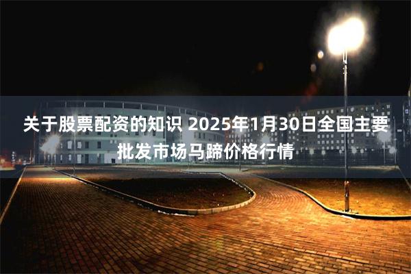 关于股票配资的知识 2025年1月30日全国主要批发市场马蹄价格行情