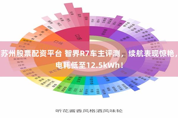 苏州股票配资平台 智界R7车主评测，续航表现惊艳，电耗低至12.5kWh！