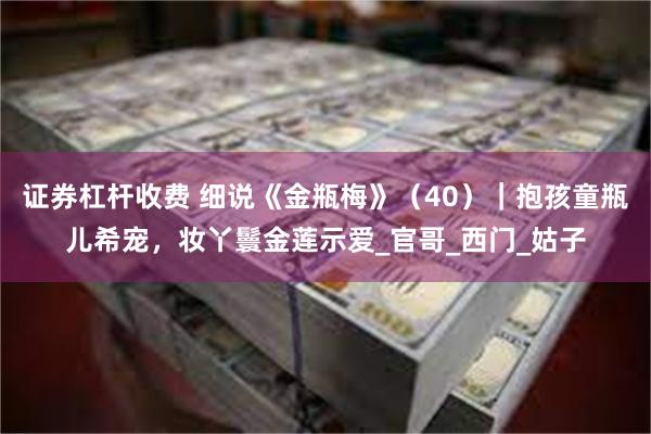证券杠杆收费 细说《金瓶梅》（40）｜抱孩童瓶儿希宠，妆丫鬟金莲示爱_官哥_西门_姑子